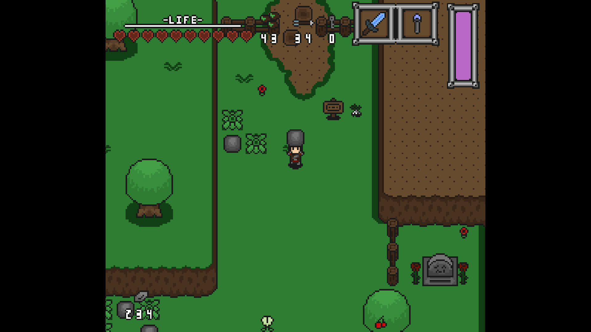 The Knight of Niraking Screenshot 10