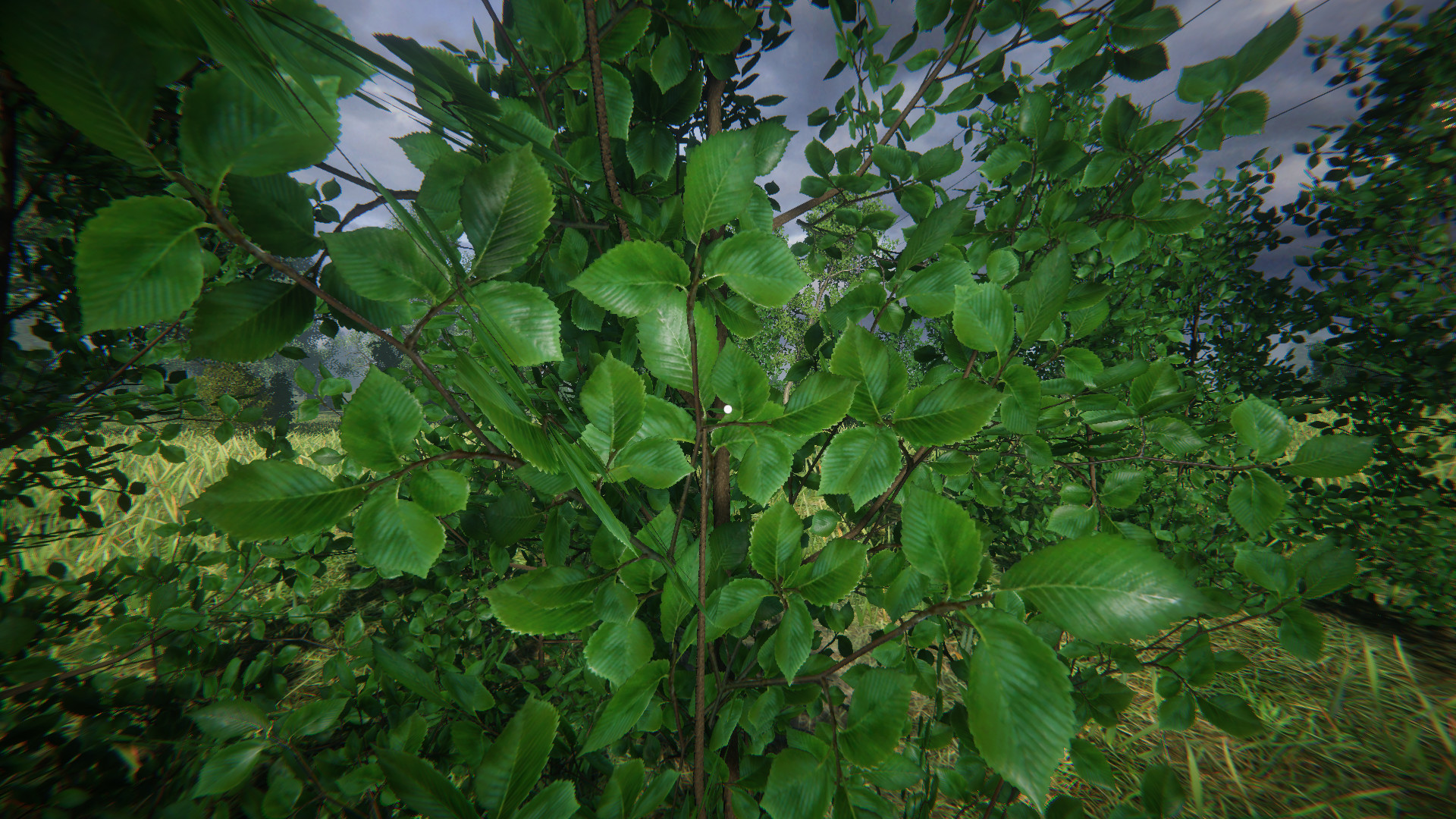 СИМУЛЯТОР ОДИНОЧЕСТВА В РУССКОЙ ДЕРЕВНЕ Screenshot 28