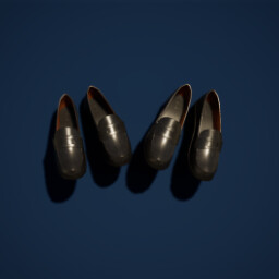 Shoe Thief icon