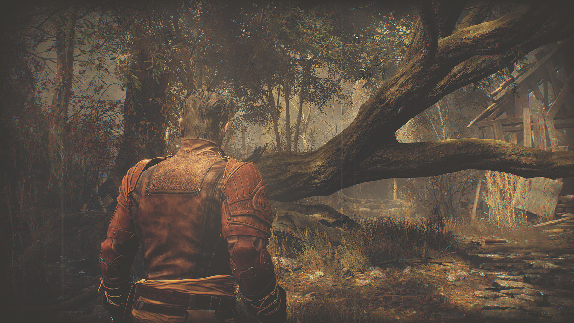 Resident Evil 4 Leon Costume & Filter: 'Hero' Screenshot 1