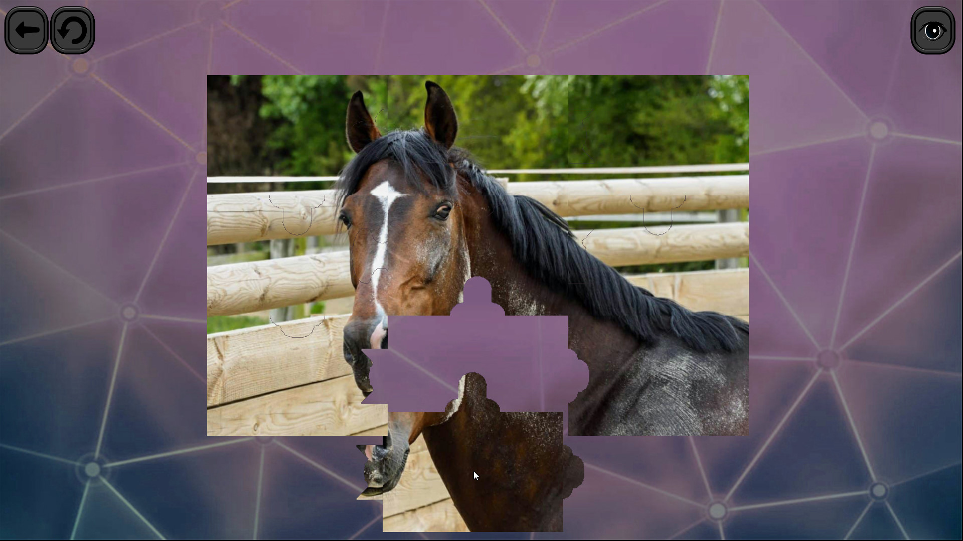 Puzzles for smart: Horses Screenshot 1