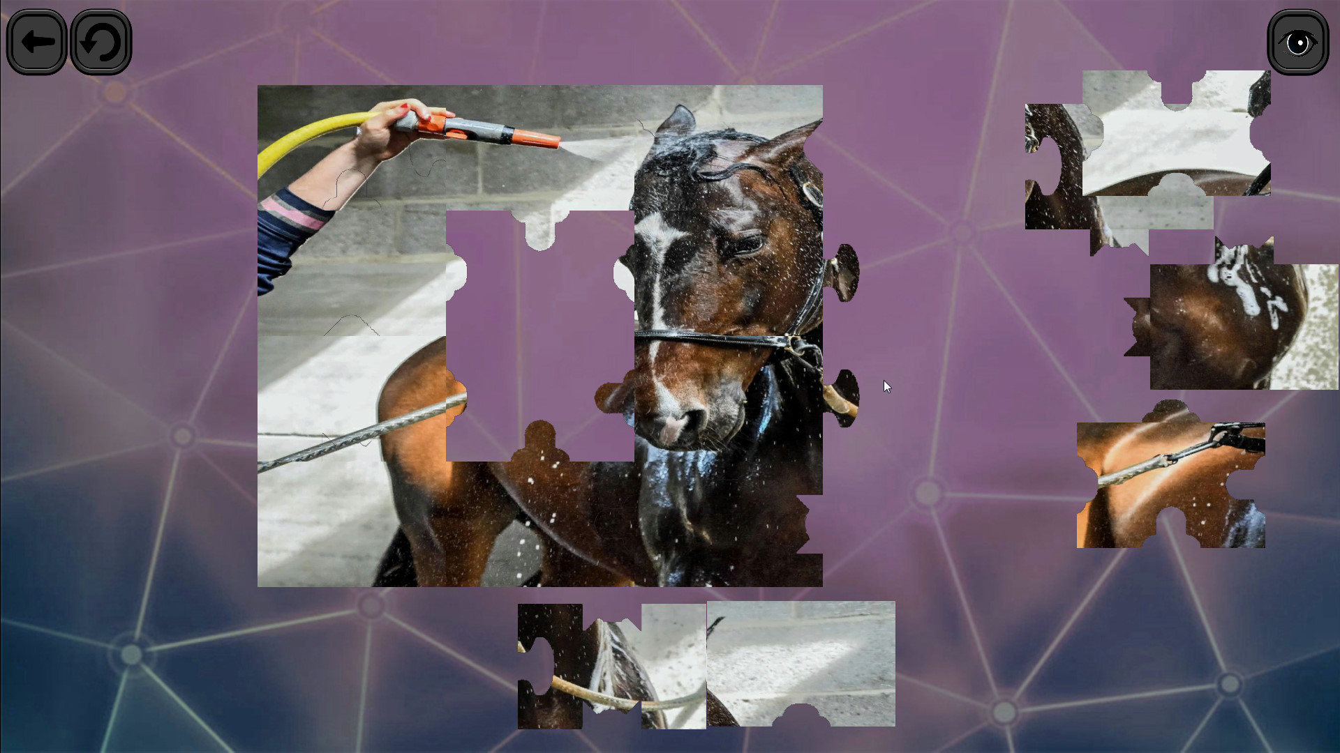 Puzzles for smart: Horses Screenshot 0