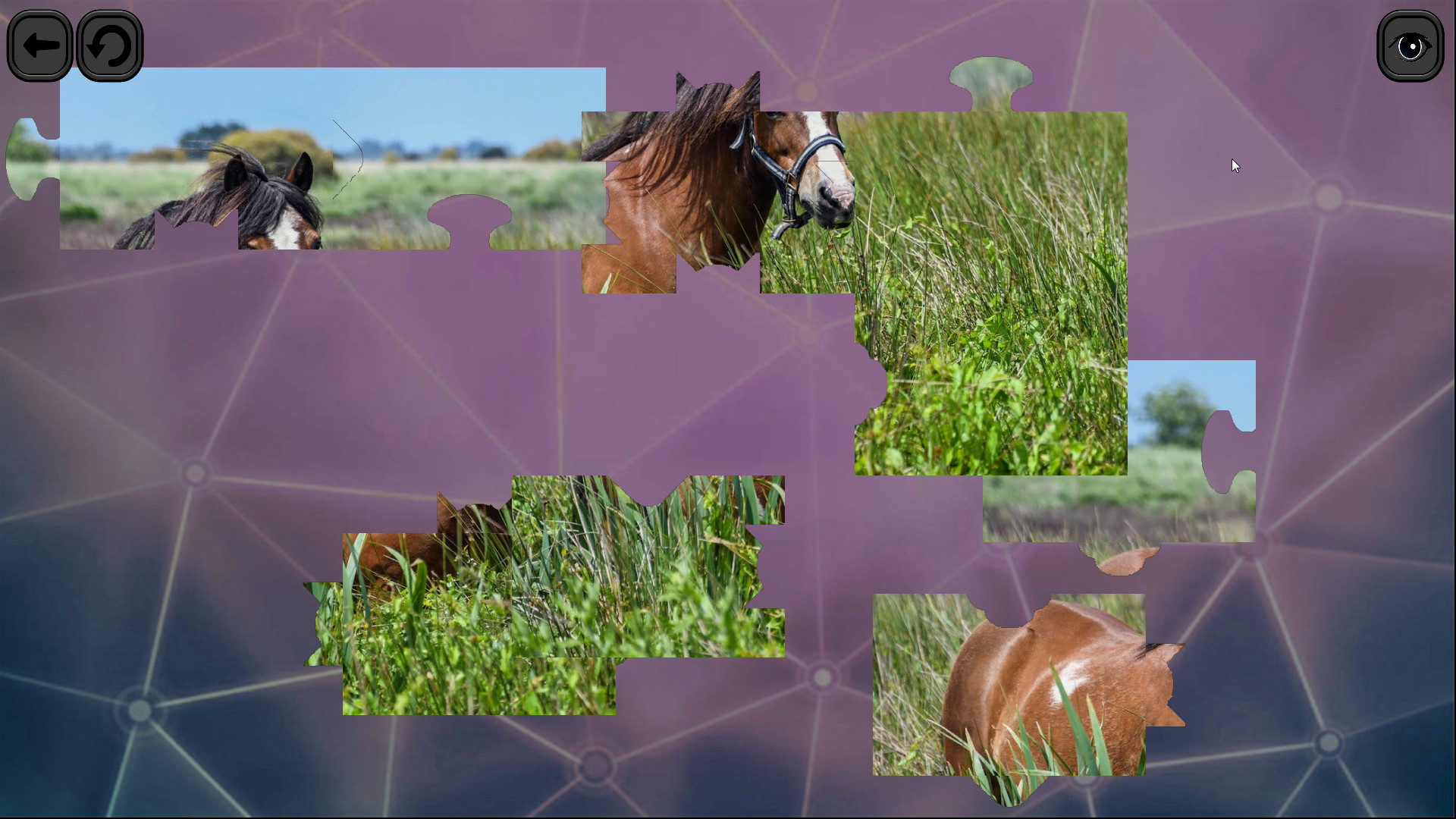 Puzzles for smart: Horses Screenshot 2