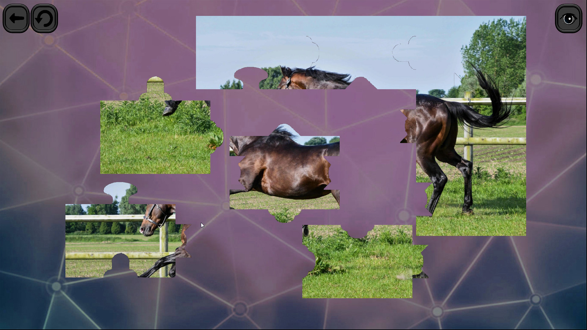 Puzzles for smart: Horses Screenshot 3