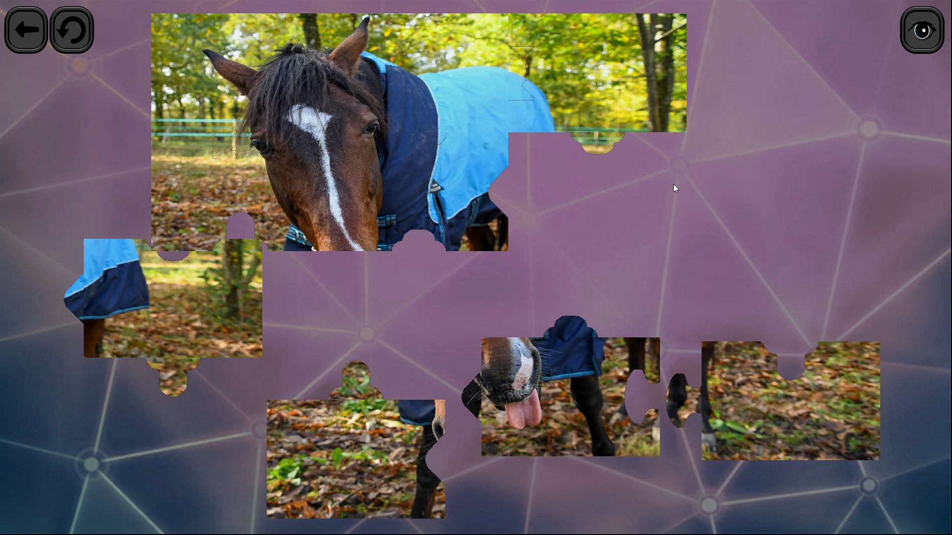 Puzzles for smart: Horses Screenshot 4