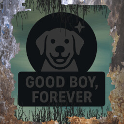 Good Boy, Forever