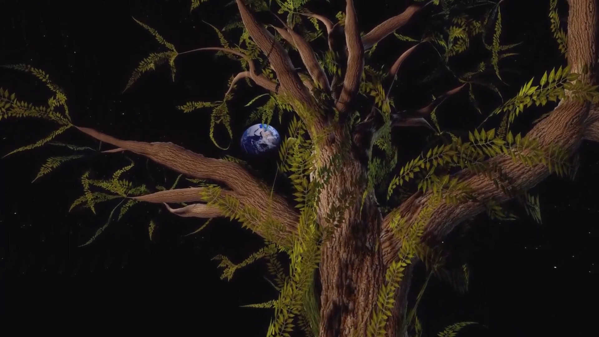 Colory Engine Screenshot 8