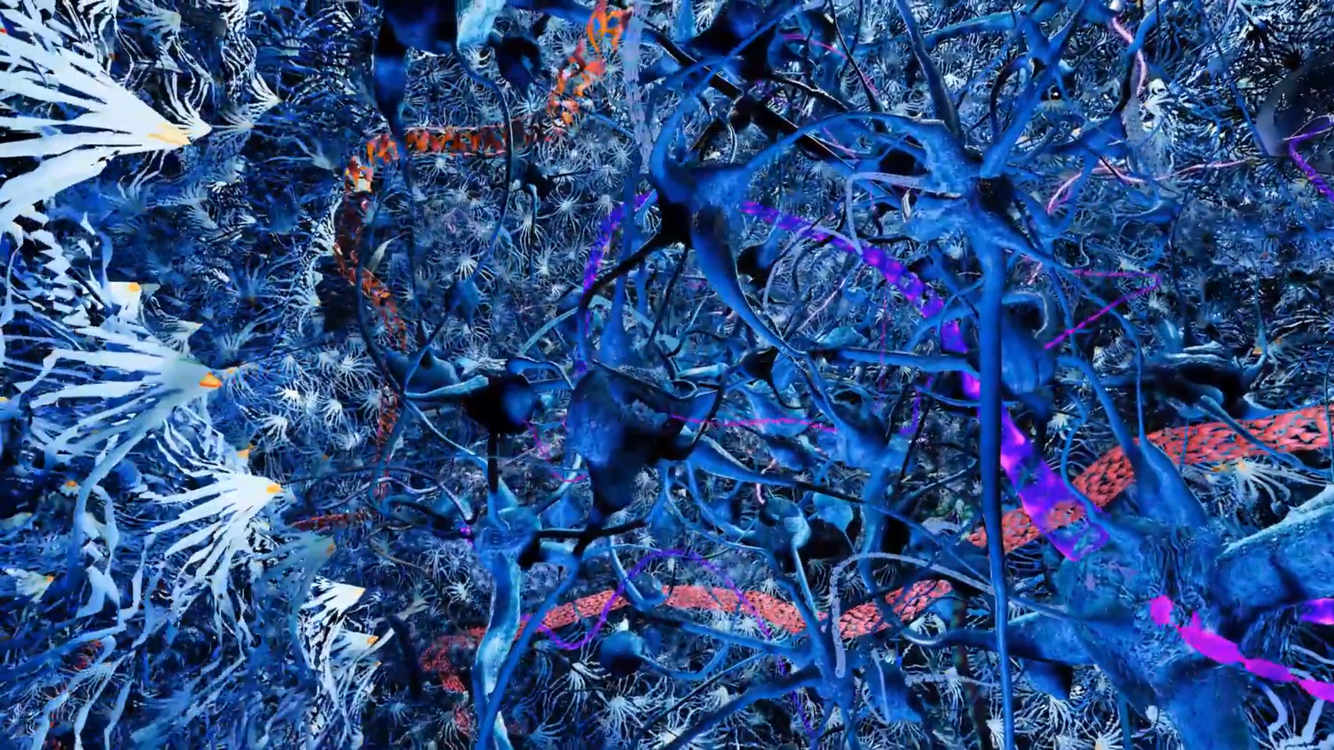 Colory Engine Screenshot 22