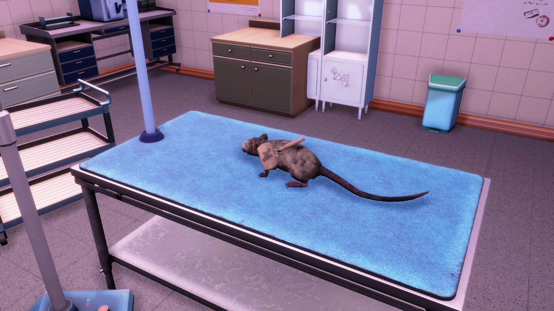 Animal Shelter 2 - Little Friends DLC Screenshot 9
