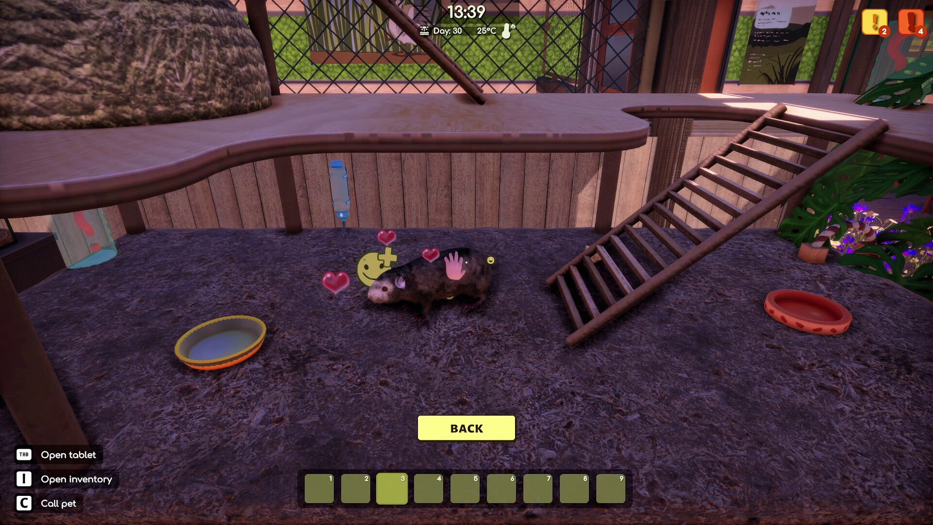 Animal Shelter 2 - Little Friends DLC Screenshot 7