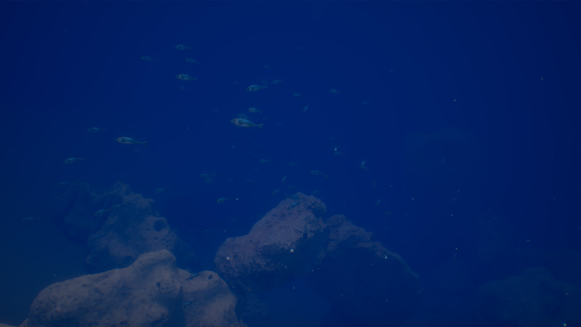 Halu - The Fish Screenshot 9