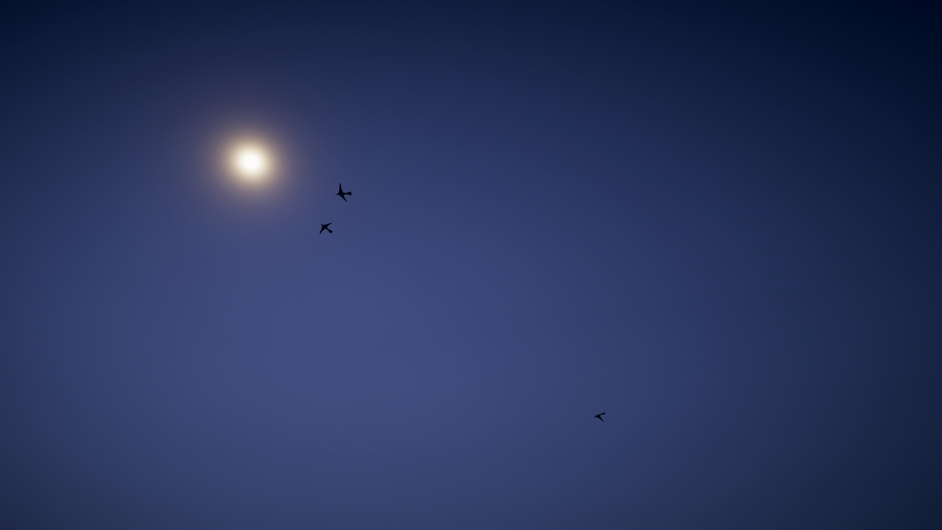 Last Signal Screenshot 10