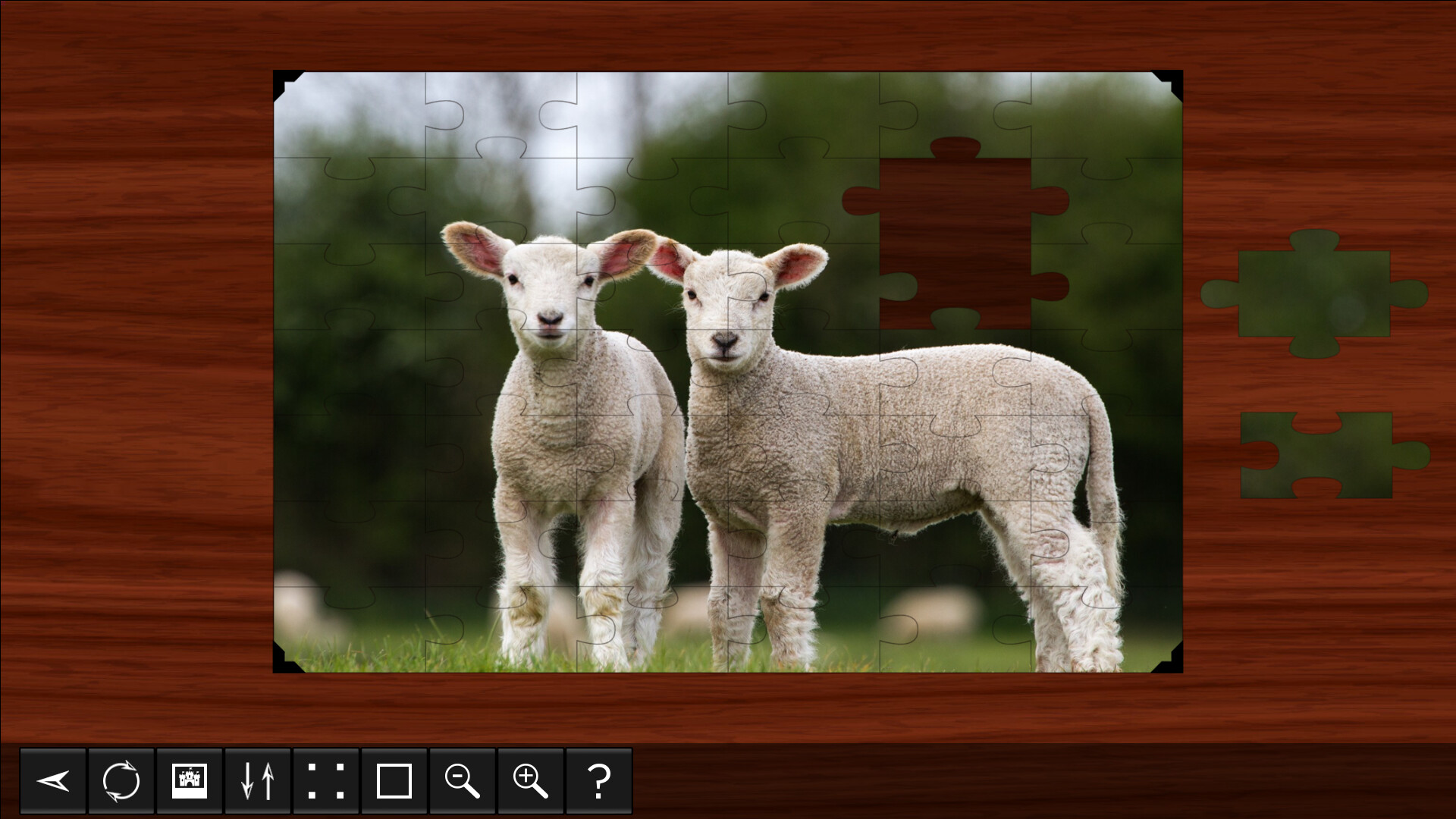 Jigsaw Puzzle World Screenshot 3