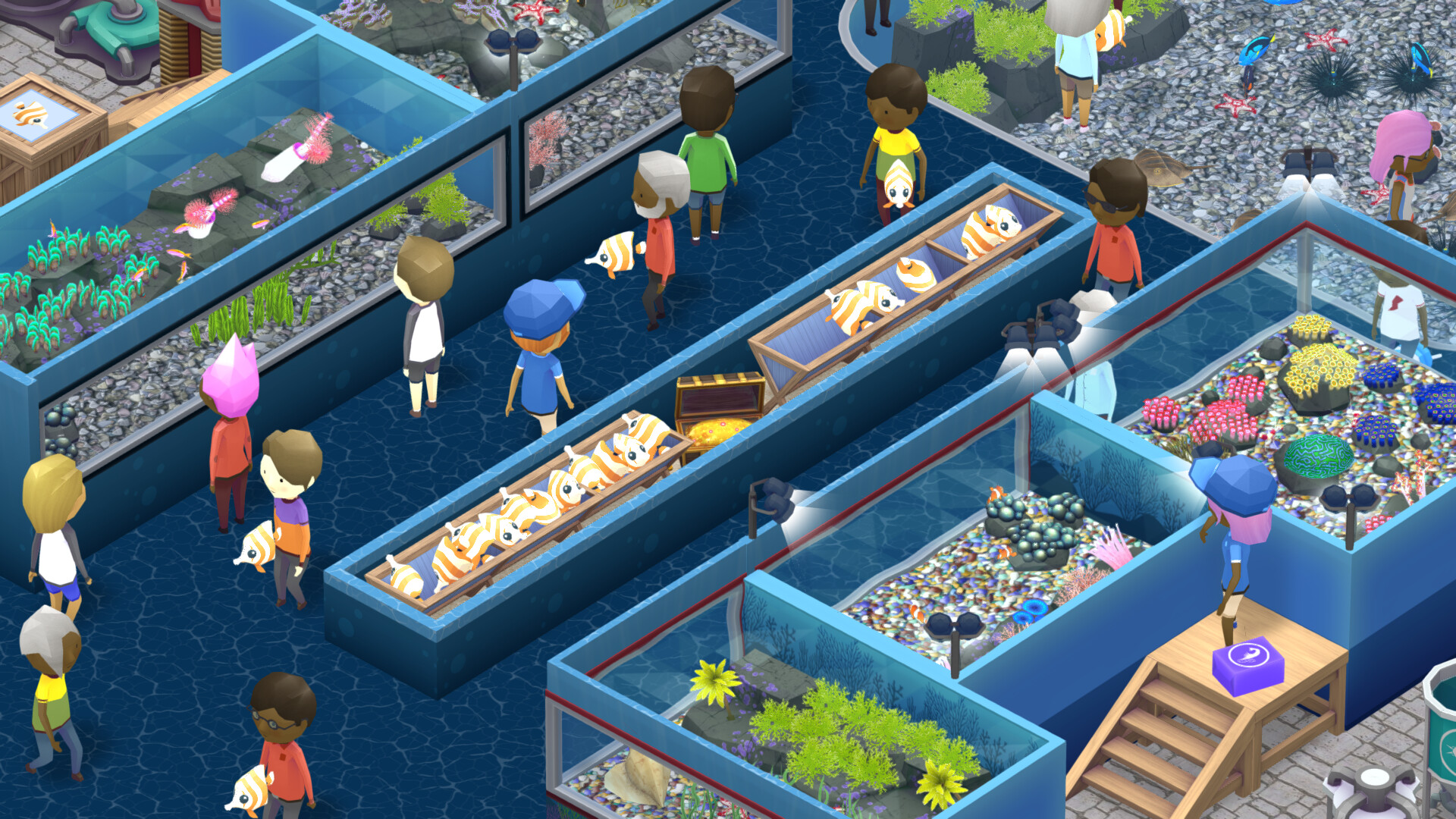 Megaquarium: Invertebrilliant Collection Screenshot 5
