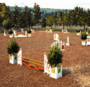 Training Ground icon