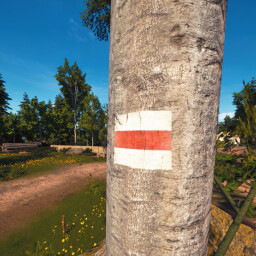 Cave hiking trail icon