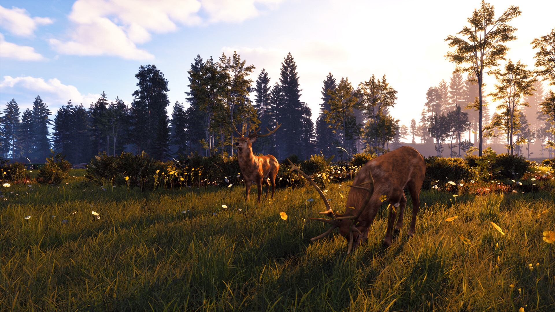 Windstorm: Start of a Great Friendship - Remastered Screenshot 2