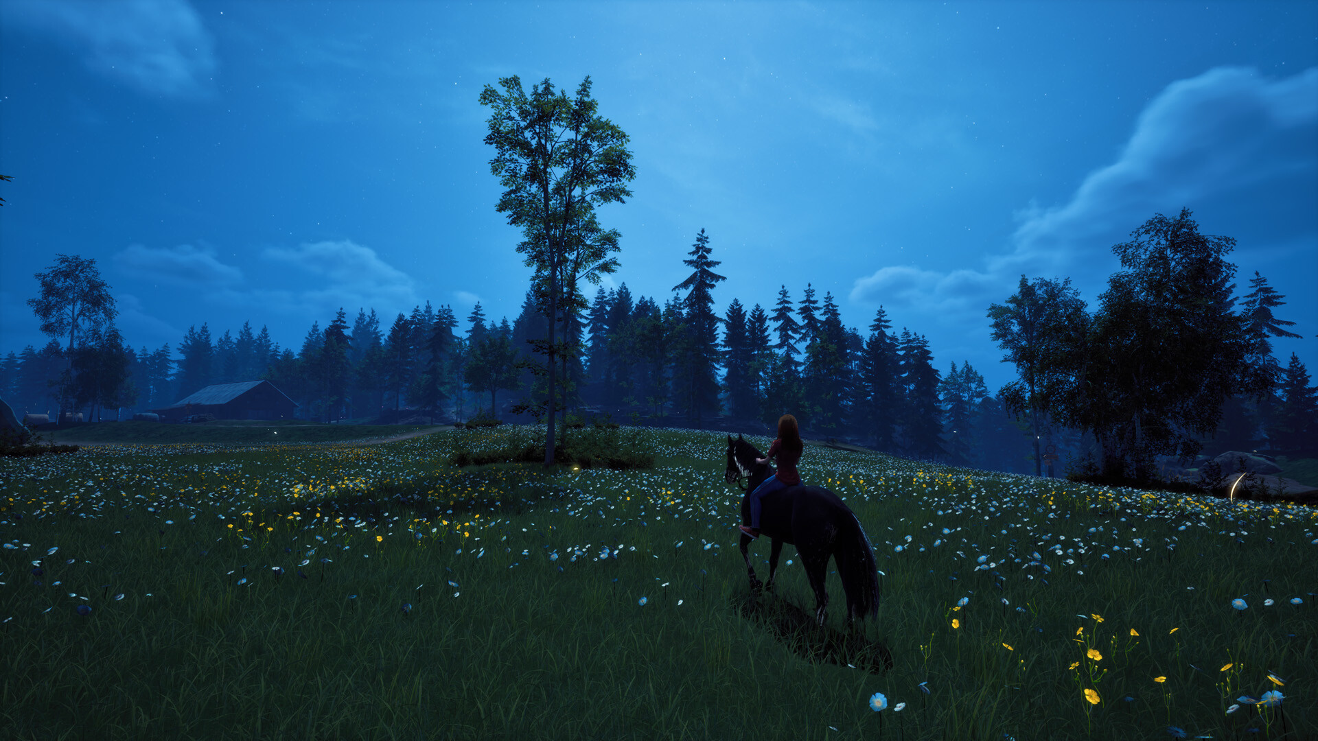 Windstorm: Start of a Great Friendship - Remastered Screenshot 1