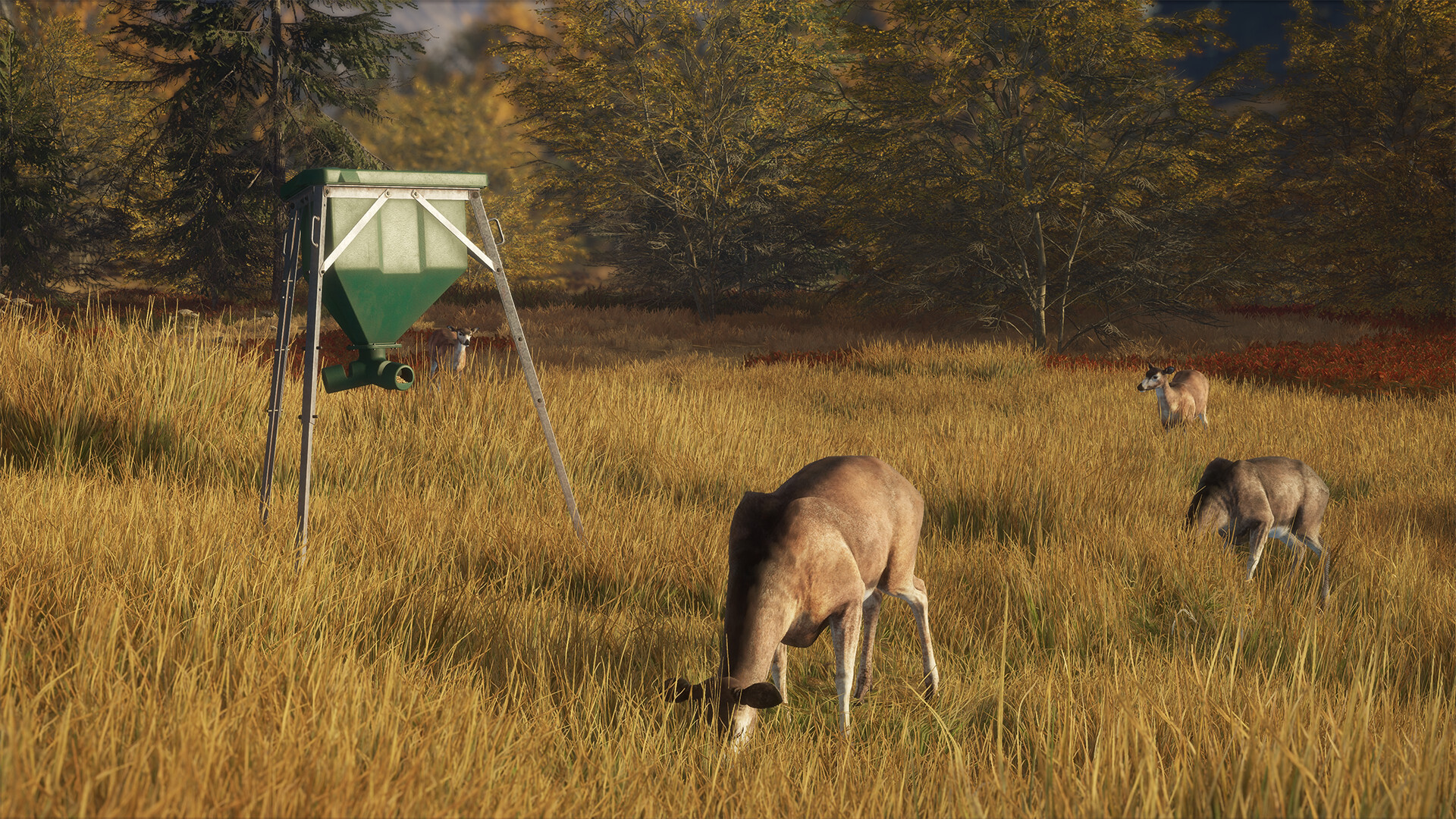 theHunter: Call of the Wild™ - Game Feeder Pack Screenshot 0