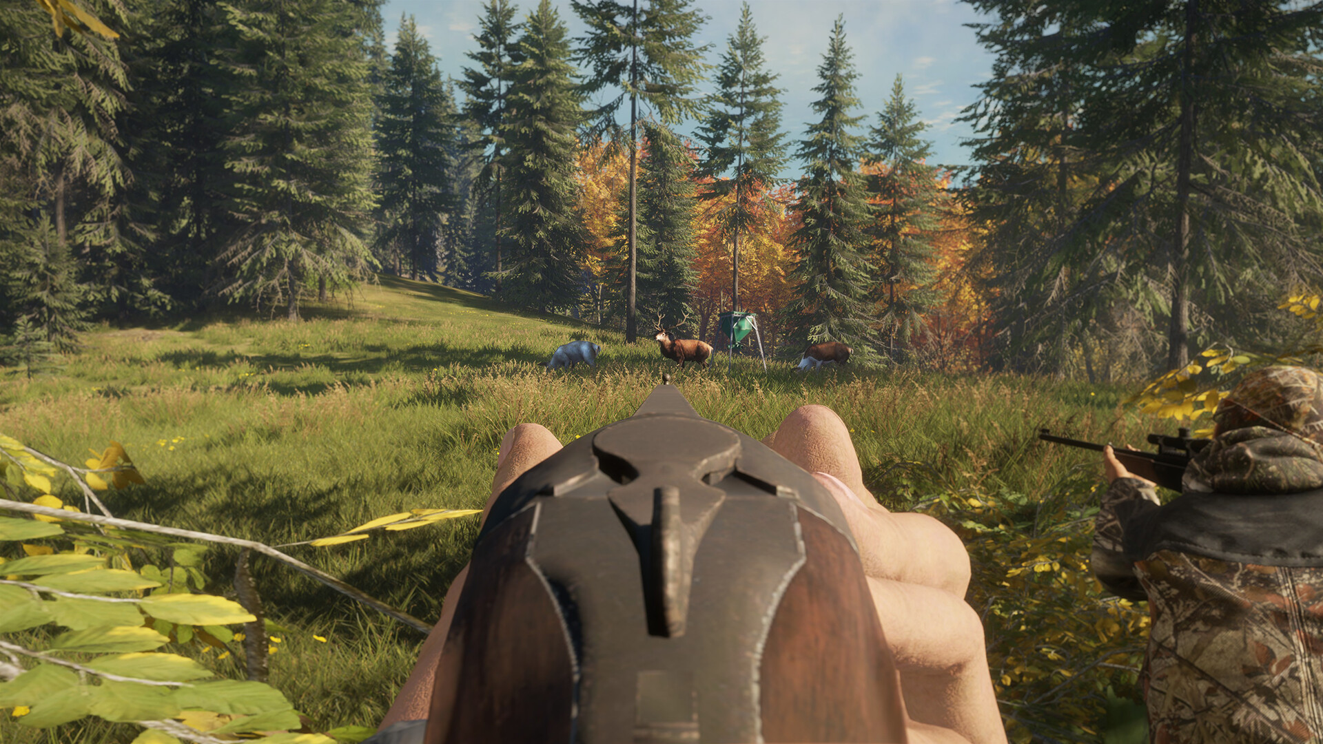 theHunter: Call of the Wild™ - Game Feeder Pack Screenshot 7