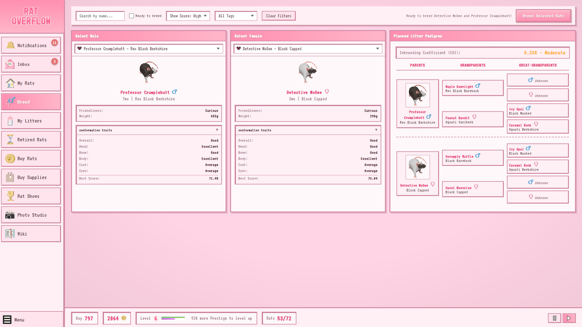 Rat Overflow Screenshot 1