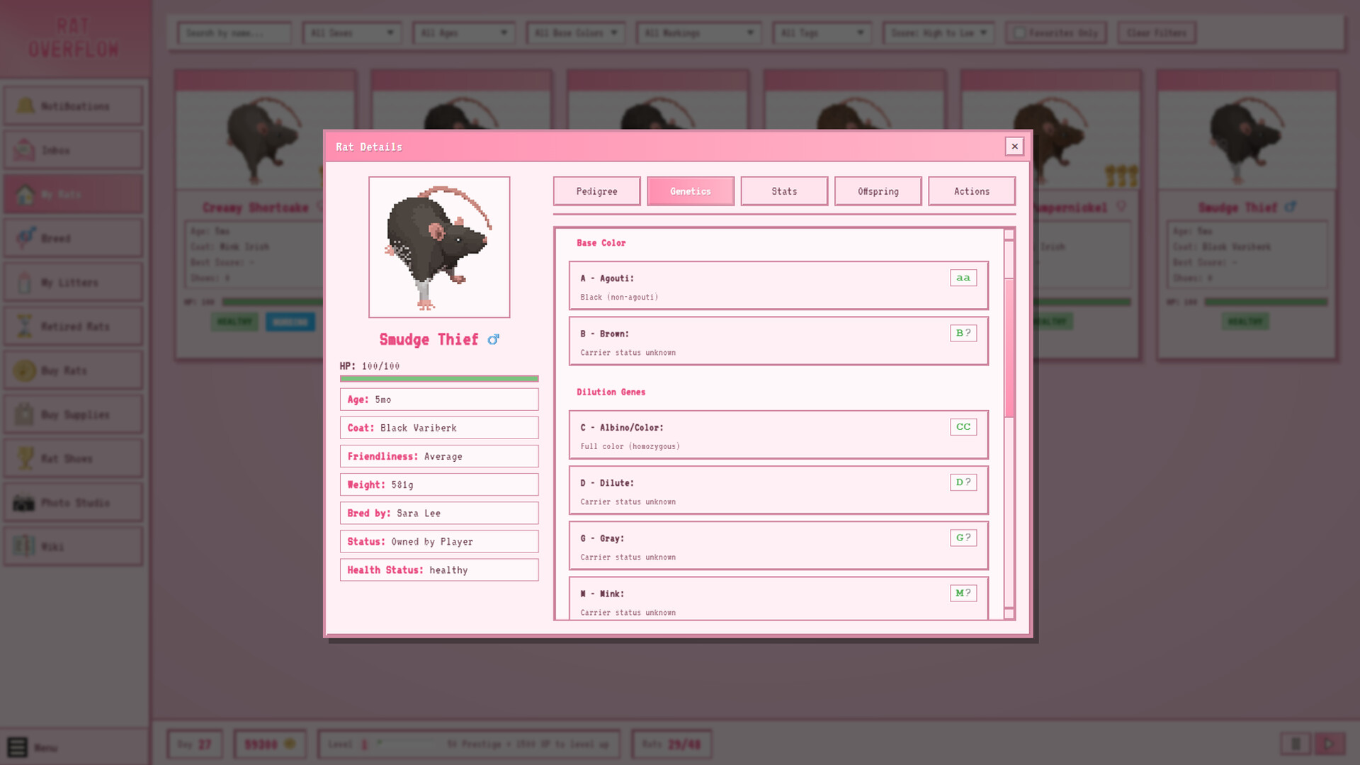 Rat Overflow Screenshot 0