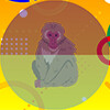 Barbary Macaque icon