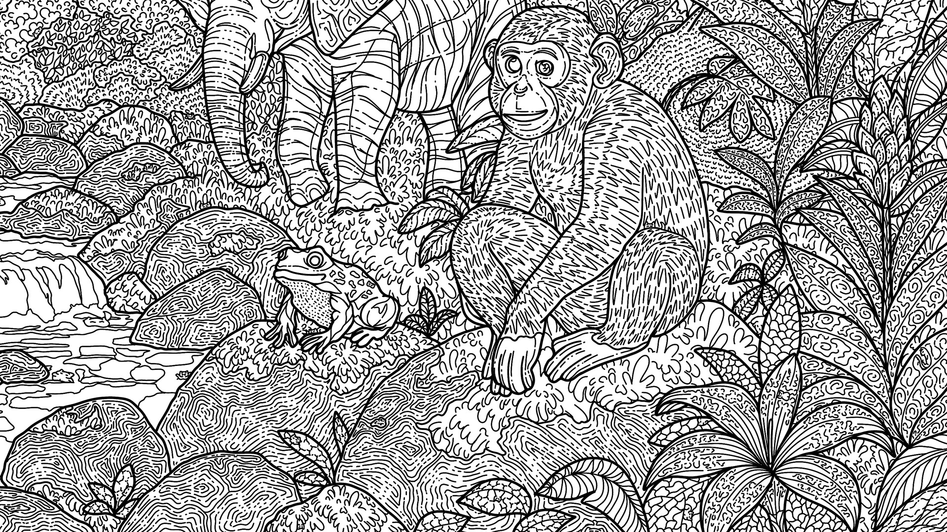 100 Jungle Cats Screenshot 6