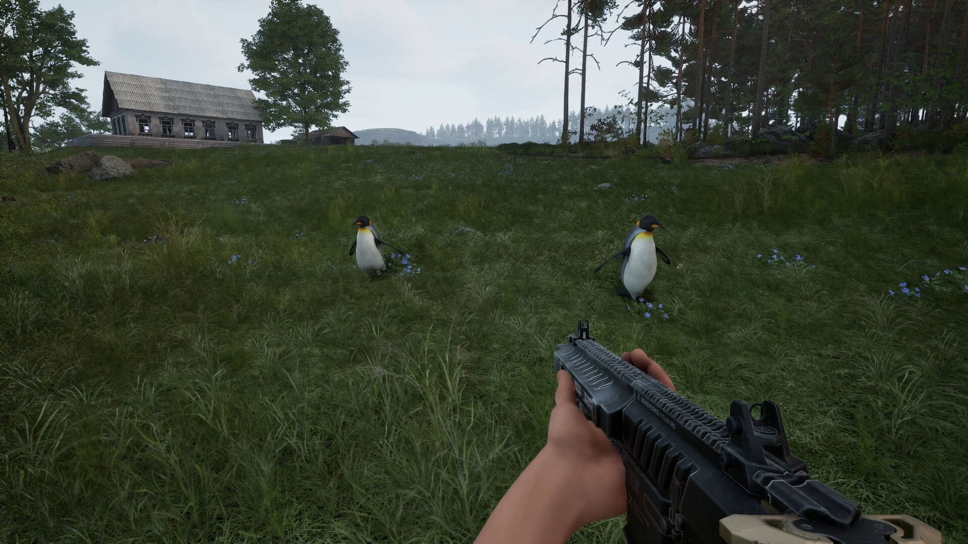 ALTERA Screenshot 19