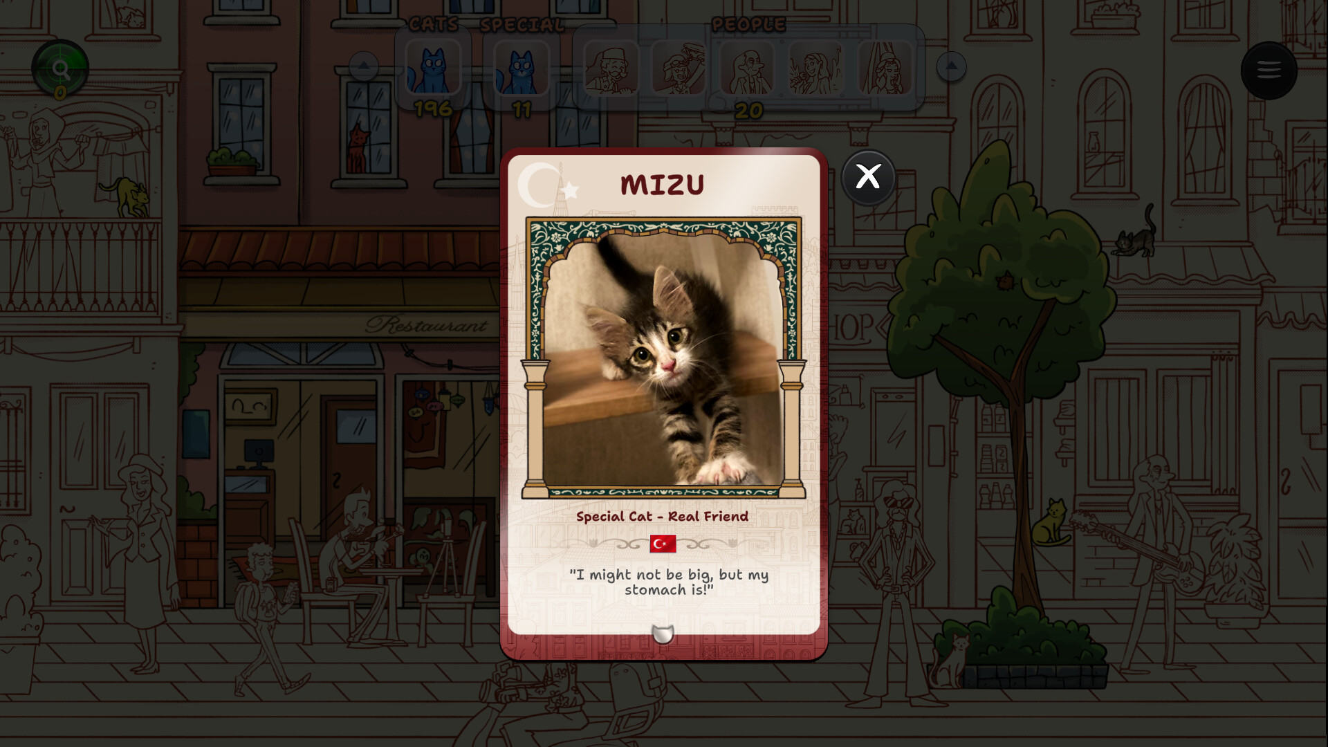 Hidden Cats in Istanbul Screenshot 4