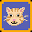 Cat person icon