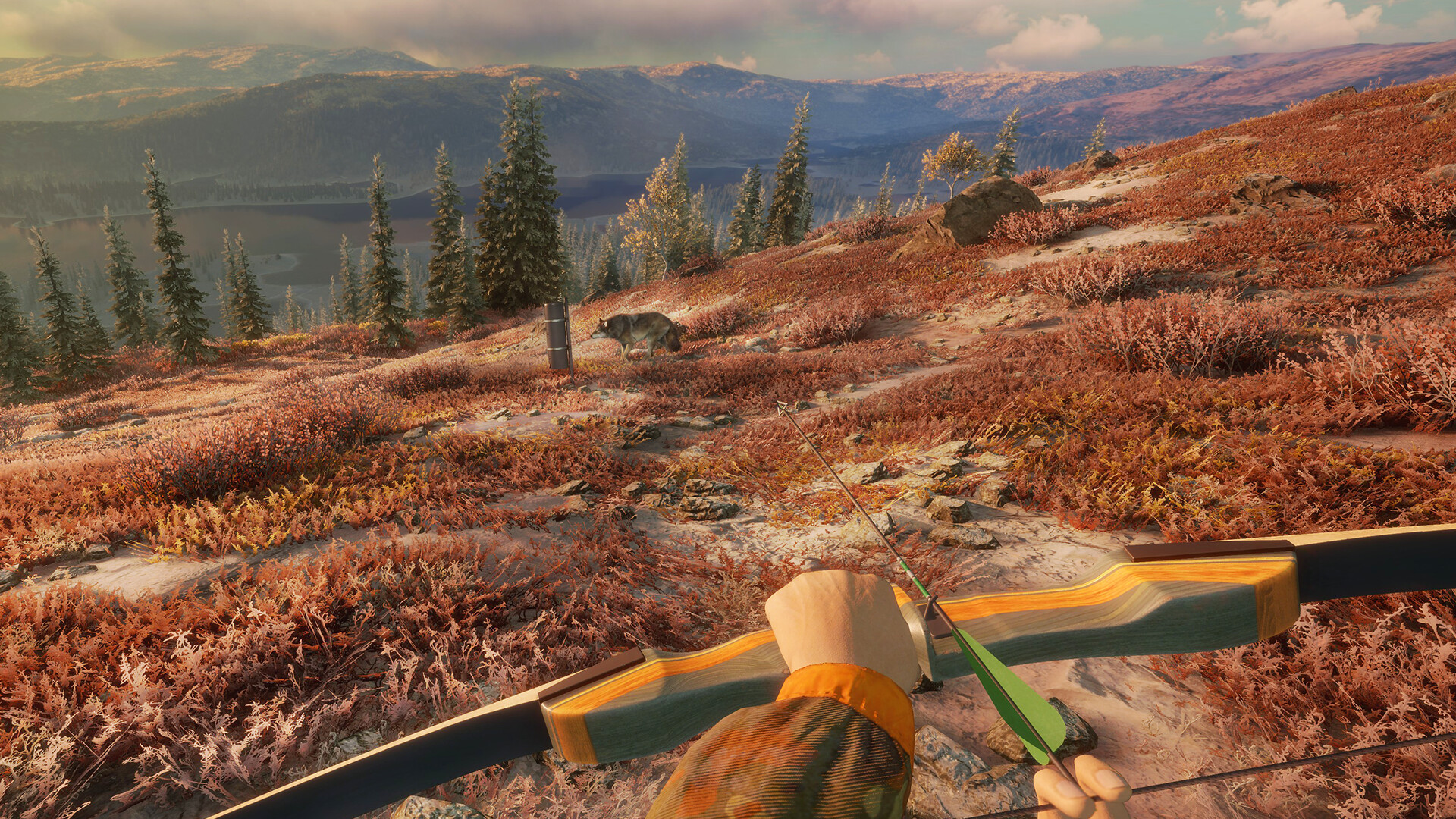 theHunter: Call of the Wild™ - Game Feeder Pack 2 Screenshot 2