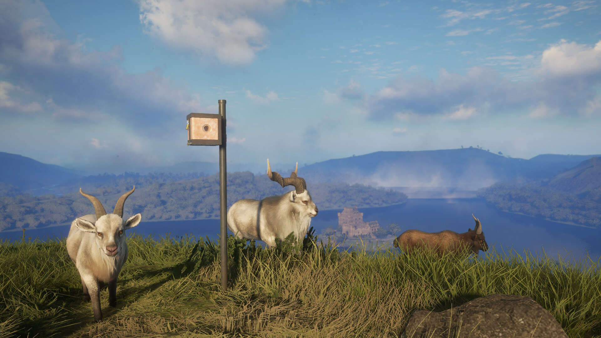 theHunter: Call of the Wild™ - Game Feeder Pack 2 Screenshot 4