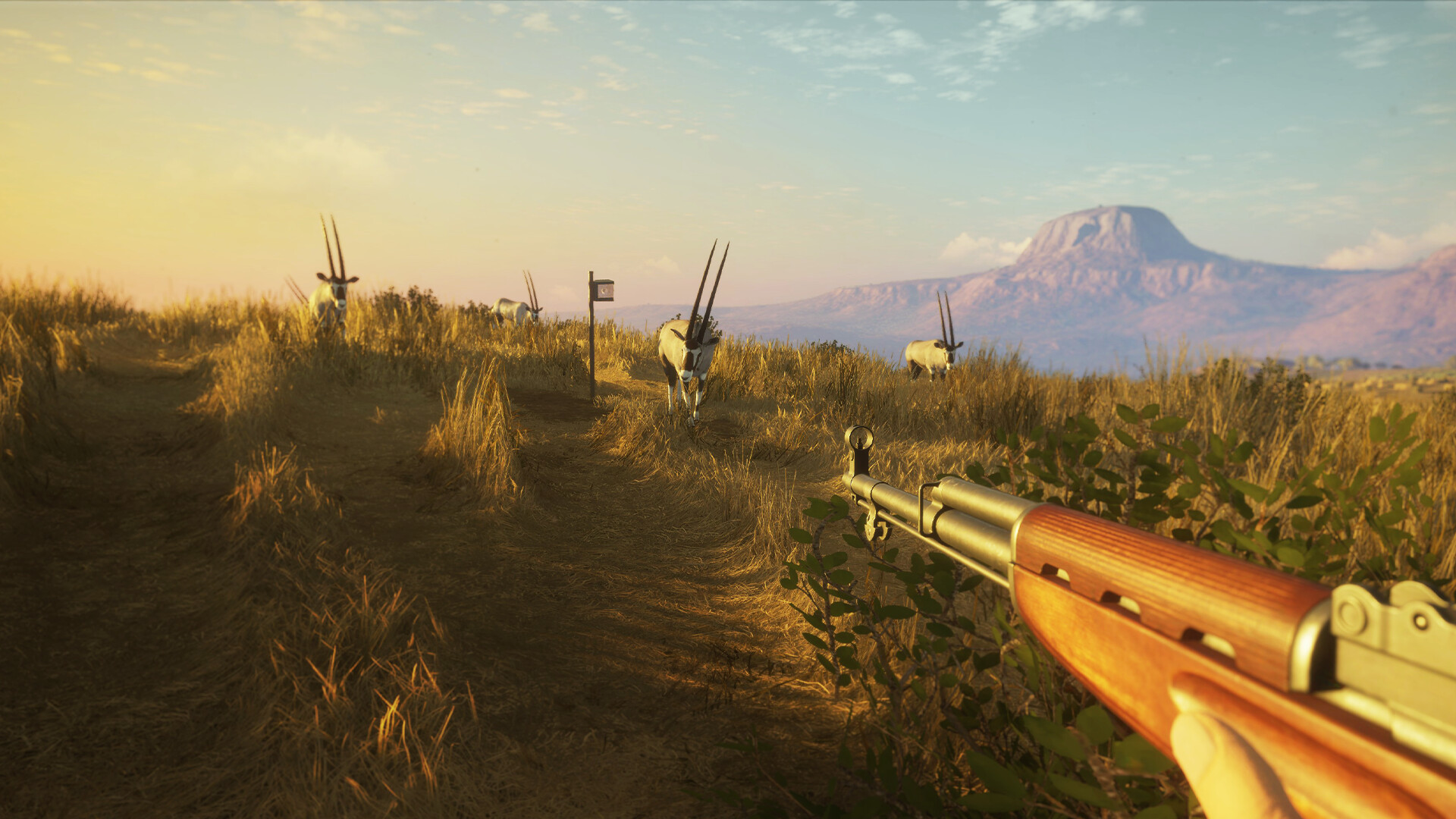 theHunter: Call of the Wild™ - Game Feeder Pack 2 Screenshot 3