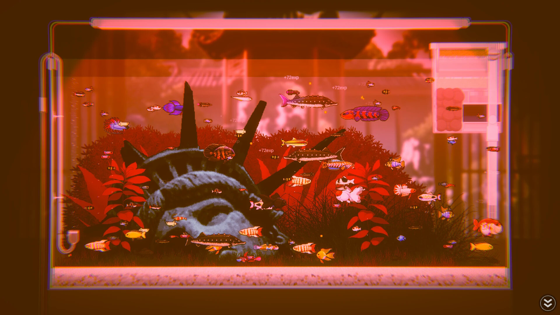 Joyquarium Screenshot 14