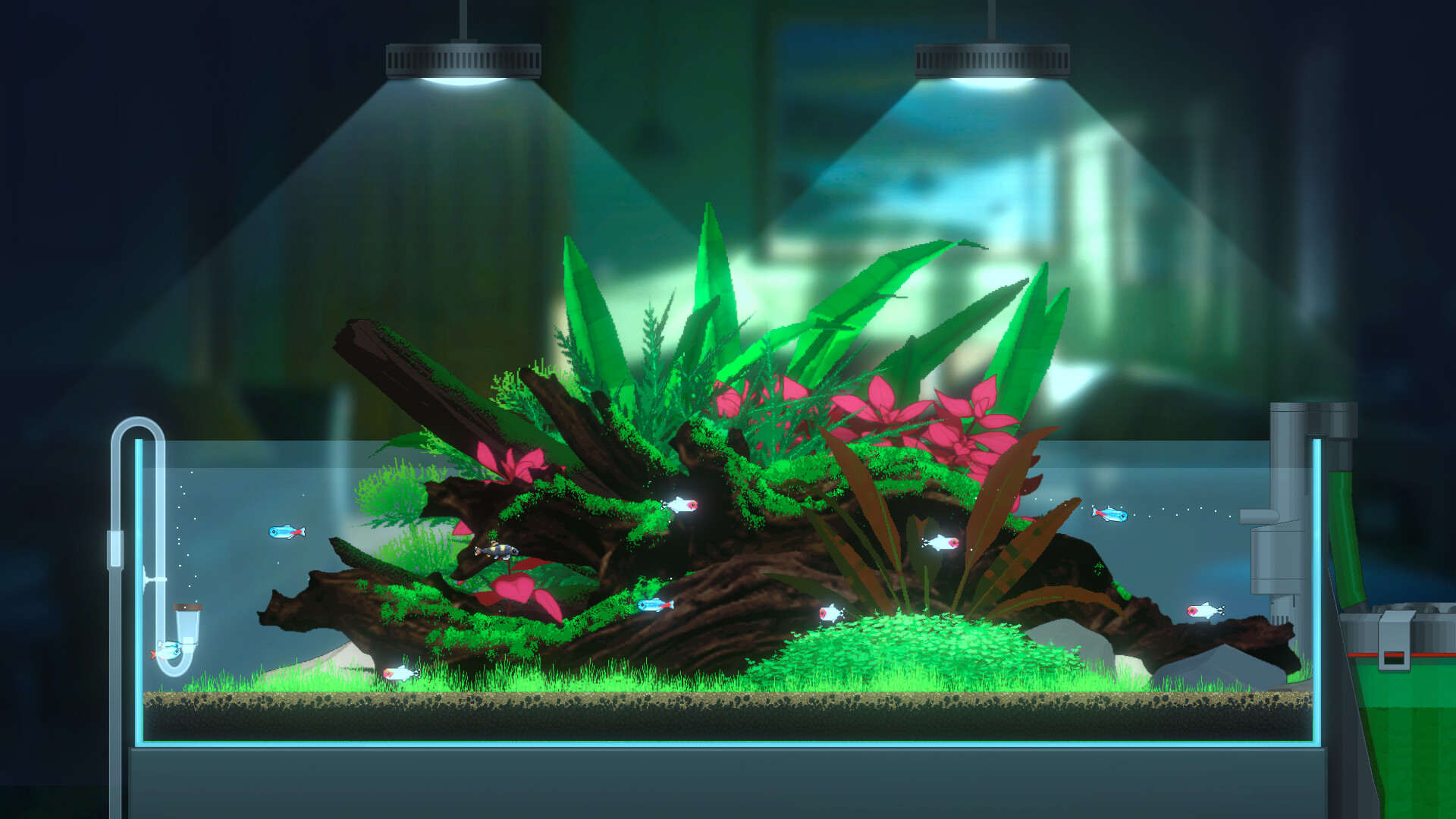 Joyquarium Screenshot 11
