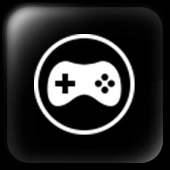 Raiden, Take Off! icon