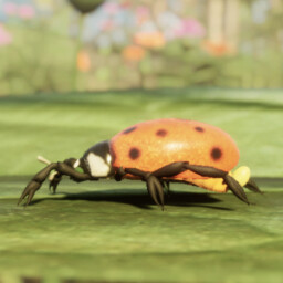 The Flight Of The Ladybird (Female) icon