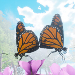 The Life Of A Monarch (Female) icon