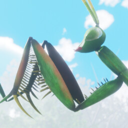 Mantis Metamorphosis (Male) icon