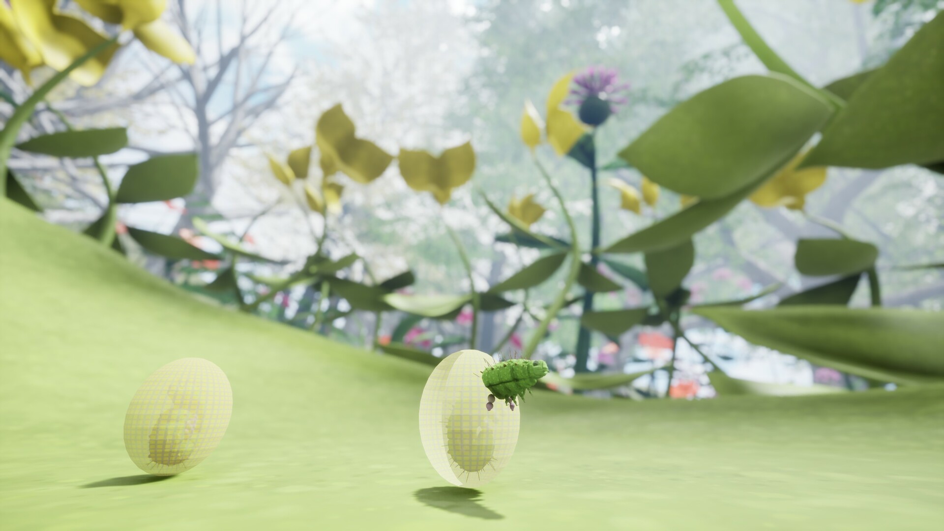 Nature & Life - Drunk On Nectar Screenshot 8