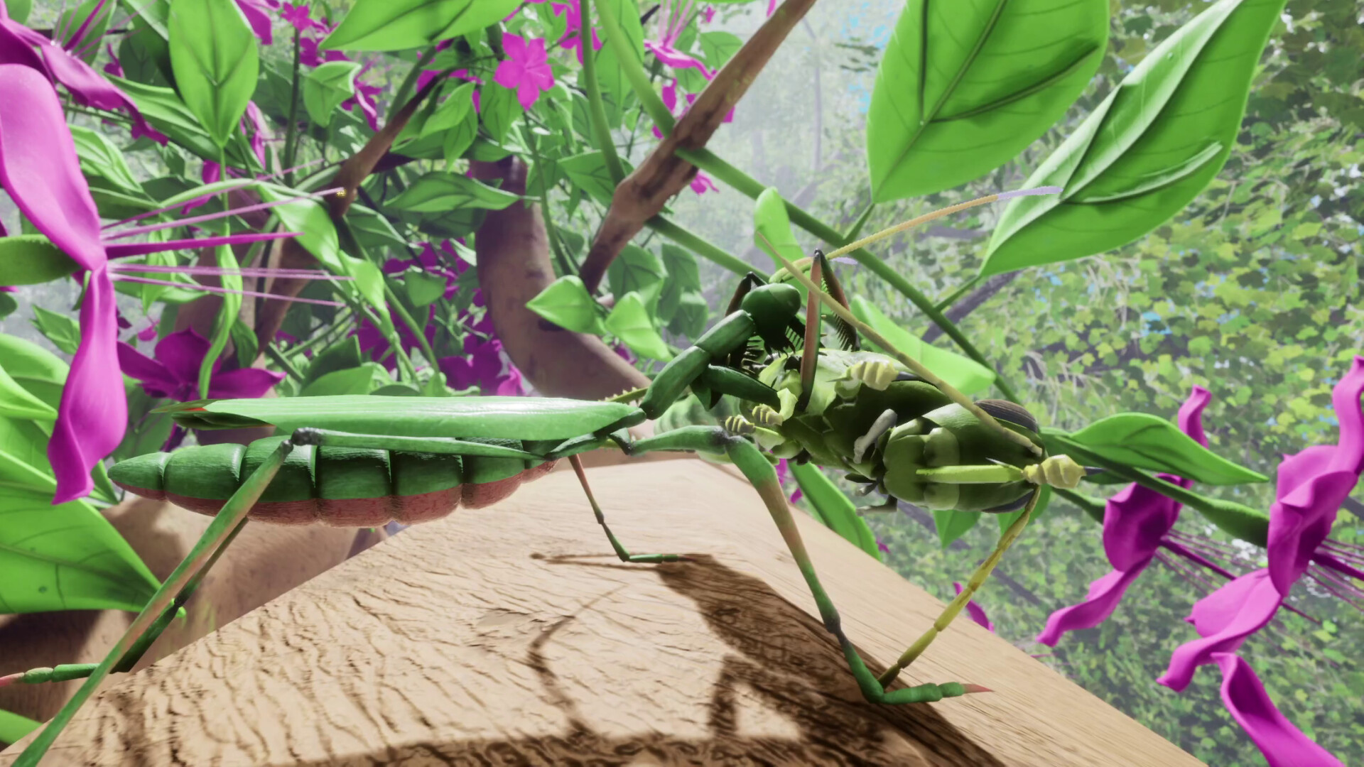 Nature & Life - Drunk On Nectar Screenshot 1