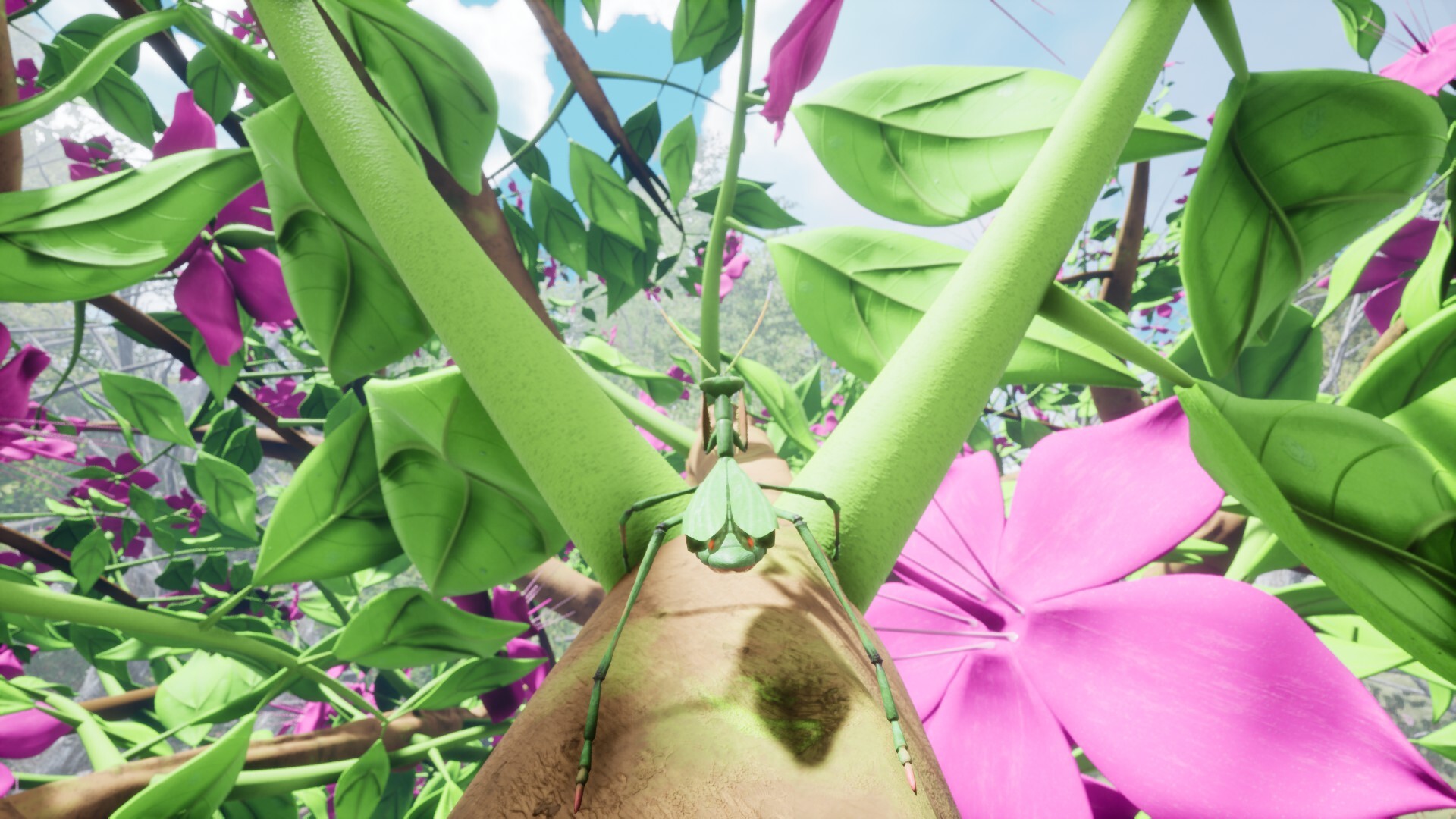 Nature & Life - Drunk On Nectar Screenshot 5