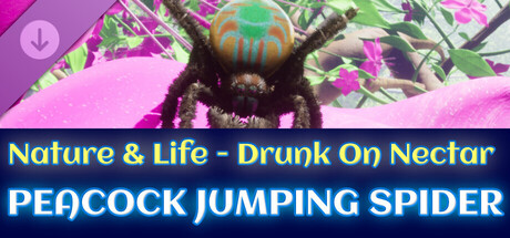 Drunk On Nectar - Peacock Jumping Spider