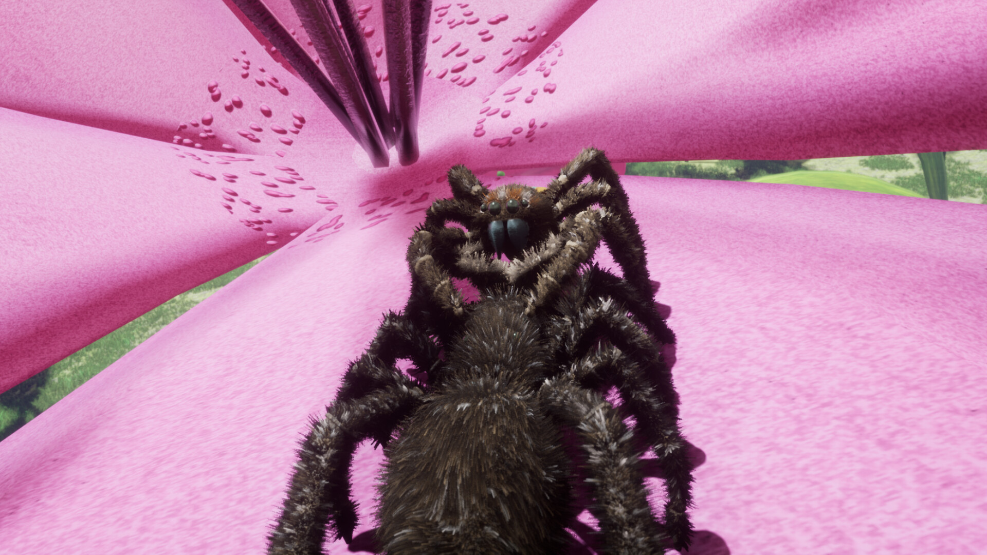 Drunk On Nectar - Peacock Jumping Spider Screenshot 4
