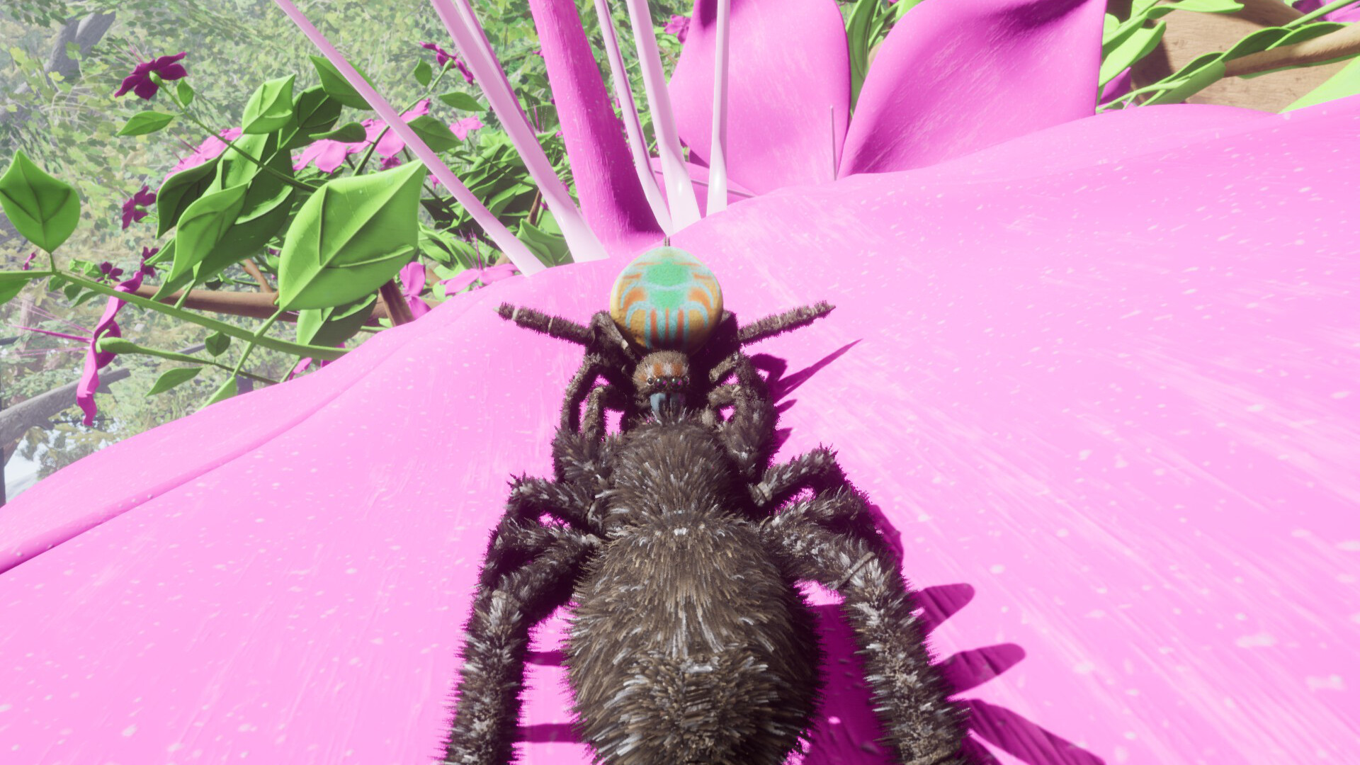 Drunk On Nectar - Peacock Jumping Spider Screenshot 6