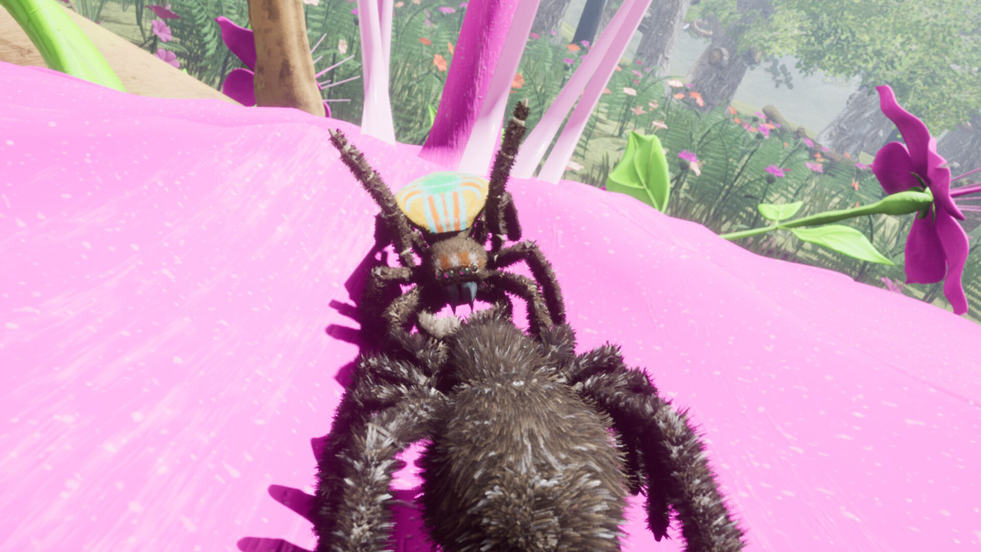 Drunk On Nectar - Peacock Jumping Spider Screenshot 2