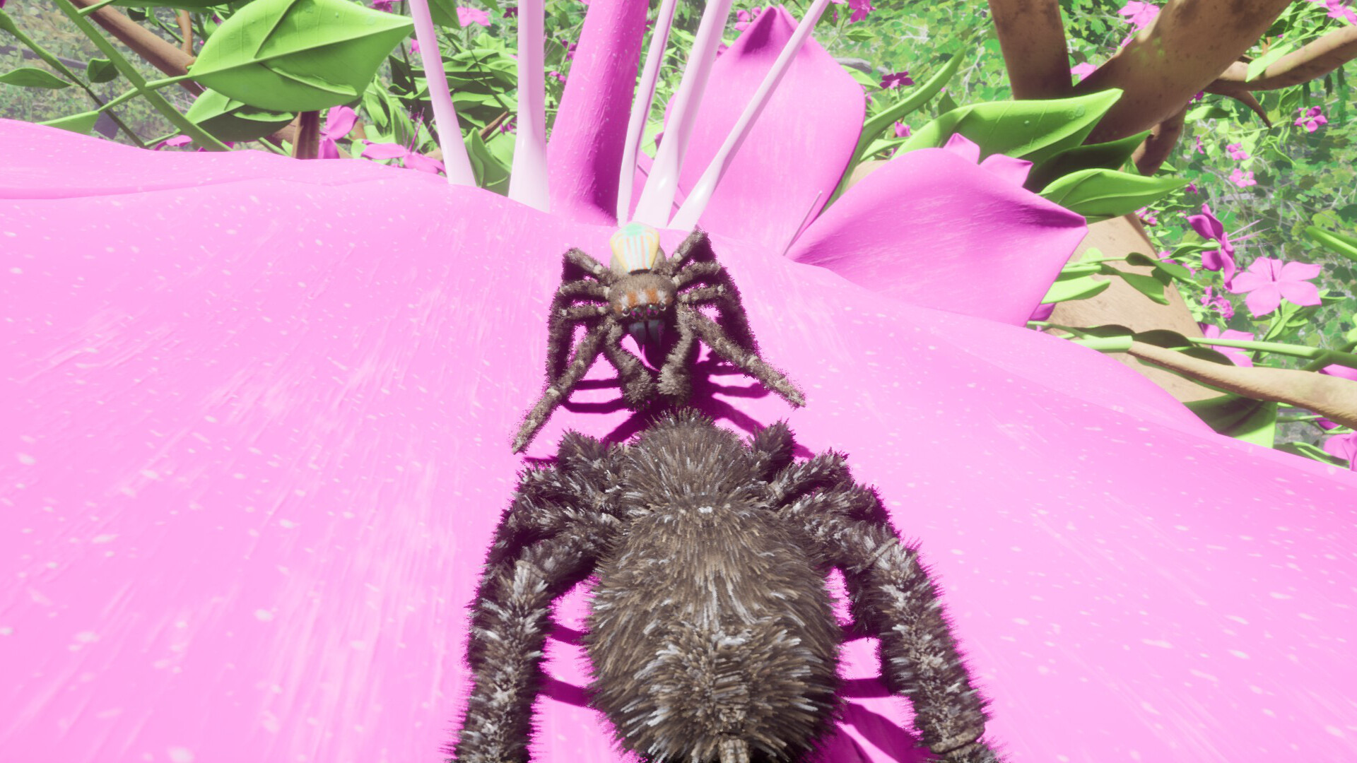 Drunk On Nectar - Peacock Jumping Spider Screenshot 7
