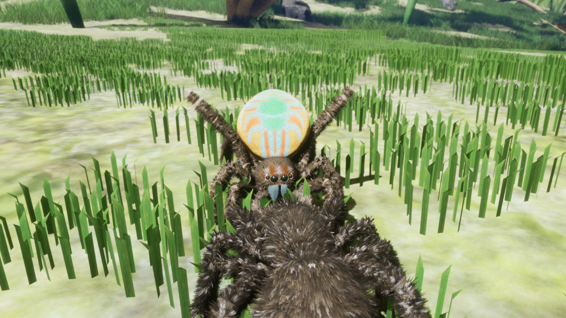 Drunk On Nectar - Peacock Jumping Spider Screenshot 3