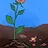 Spring Mud
